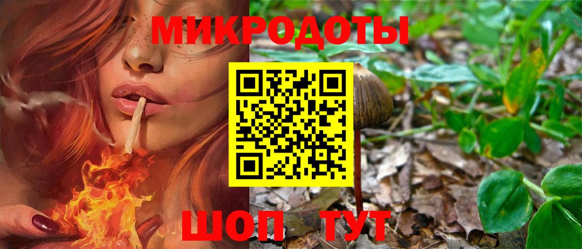 Артём  Галлюциногенные грибы Psilocybine cubensis  дарнет шоп  Галлюциногенные грибы Psilocybe  Вход с VPN 