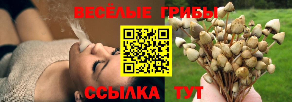 Галлюциногенные грибы Magic Shrooms Артём